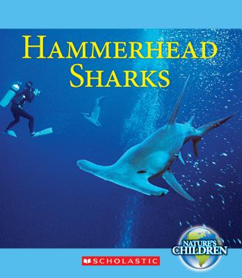 Hammerhead Sharks - Franchino, Vicky