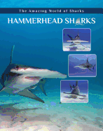 Hammerhead Sharks
