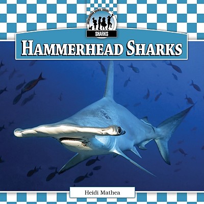 Hammerhead Sharks - Mathea, Heidi