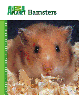 Hamsters