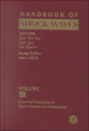 Handbook of Shock Waves