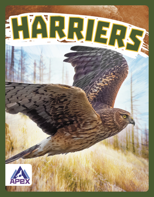 Harriers - Stratton, Connor