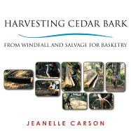 Harvesting Cedar Bark: From Windfall and Salvage for Basketry