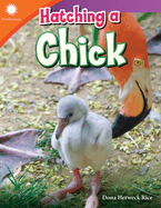 Hatching a Chick