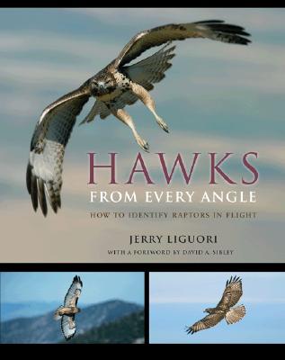 Hawks from Every Angle: How to Identify Raptors in Flight - Liguori, Jerry, and Sibley, David A (Foreword by)