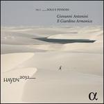 Haydn 2032, No. 3: Solo e Pensoso