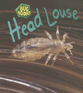 Head Louse