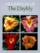 Hemerocallis the Daylily