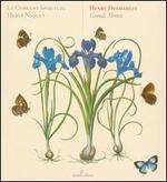 Henry Desmarest: Grands Motets