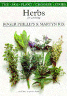 Herbs for Cooking and How to Grow Them