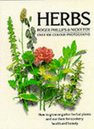 Herbs
