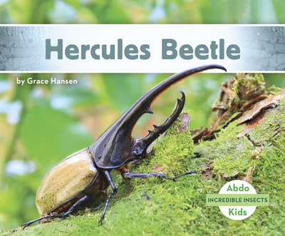Hercules Beetle - Hansen, Grace