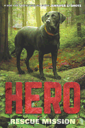 Hero: Rescue Mission