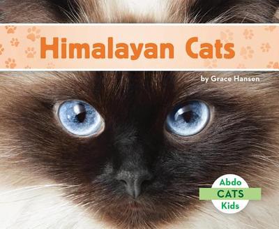 Himalayan Cats - Hansen, Grace
