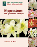 Hippeastrum: The Gardener's Amaryllis