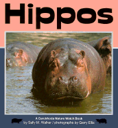 Hippos
