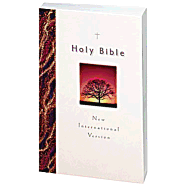 Holy Bible-NIV