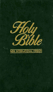 Holy Bible-NIV