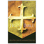 Holy Bible-NRSV