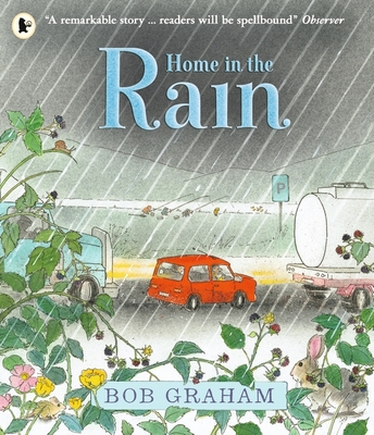 Home in the Rain - 
