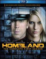Homeland: Season 01
