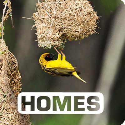 Homes - Nouvion, Judith
