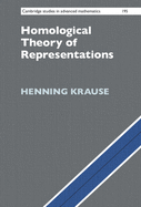 Homological Theory of Representations