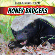Honey Badgers
