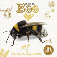 Honey Bee