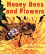 Honey Bees and Flowers