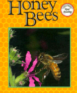 Honey Bees