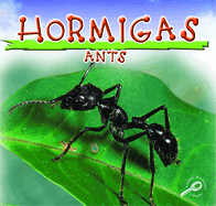 Hormigas: Ants