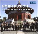 Horn Fusion