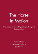 Horse Motion