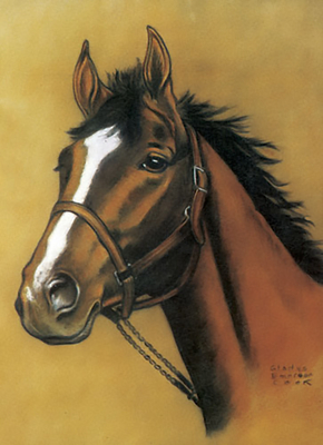 Horse Notebook - Dover