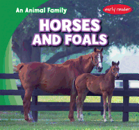 Horses and Foals