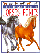 Horses and Ponies