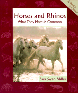 Horses and Rhinos
