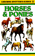 Horses & Ponies