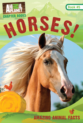 Horses! - Animal Planet