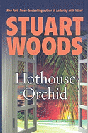 Hothouse Orchid