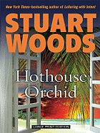 Hothouse Orchid