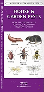 House & Garden Pests: How to Organically Control Common Invasive Species