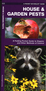 House & Garden Pests: Organic and Common Solutions to Controlling Nuisance Species