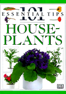 House Plants