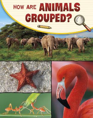 How Are Animals Grouped? - Simons, Lisa M. Bolt
