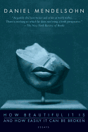 How Beautiful It Is and How Easily It Can Be Broken: Essays