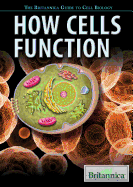 How Cells Function