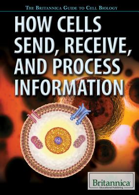 How Cells Send, Receive, and Process Information - Friedman, Michael, and Friedman, Brett, and McLaughlin, Marc