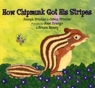 How Chipmunk Got His Stripes